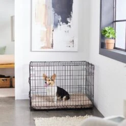 Frisco Swirl Dog Crate Mat 10 Frisco Swirl Dog Crate Mat -Pet Dog Supplies Store 110506 PT5. AC SS1800 V1635258765