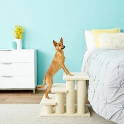 Frisco 18.5 Or 24.5 Inch 2-in-1 Cat & Dog Stairs -Pet Dog Supplies Store 140154 PT6. AC SS1800 V1584453442