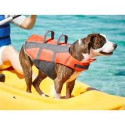 Frisco Ripstop Dog Life Jacket 16 Frisco Ripstop Dog Life Jacket -Pet Dog Supplies Store 140919 PT7. AC SS1800 V1631051825