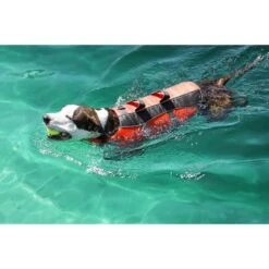 Frisco Ripstop Dog Life Jacket 17 Frisco Ripstop Dog Life Jacket -Pet Dog Supplies Store 140919 PT8. AC SS1800 V1540476454