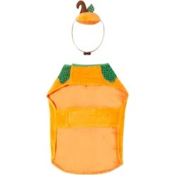 Frisco Pumpkin Dog & Cat Costume -Pet Dog Supplies Store 144446 PT4. AC SS1800 V1567176587