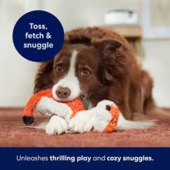 Frisco Fox Skinny Plush Squeaky Dog Toy -Pet Dog Supplies Store 147049 PT5. AC SS1800 V1691776638