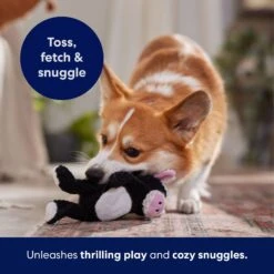 Frisco Cow Textured Plush Squeaky Dog Toy -Pet Dog Supplies Store 147059 PT5. AC SS1800 V1691776636