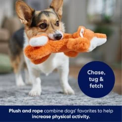 Frisco Fox Plush With Inside Rope Squeaky Dog Toy -Pet Dog Supplies Store 147065 PT4. AC SS1800 V1695671059