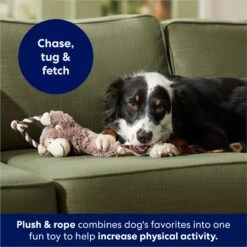 Frisco Monkey Plush With Rope Squeaky Dog Toy -Pet Dog Supplies Store 147067 PT4. AC SS1800 V1686079871