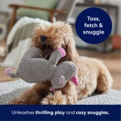 Frisco Rhino Corduroy Plush Squeaky Dog Toy -Pet Dog Supplies Store 152828 PT4. AC SS1800 V1695659205