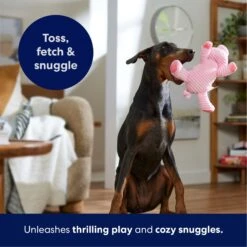 Frisco Corduroy Plush Squeaking Pig Dog Toy 10 Frisco Corduroy Plush Squeaking Pig Dog Toy -Pet Dog Supplies Store 152832 PT4. AC SS1800 V1695671001