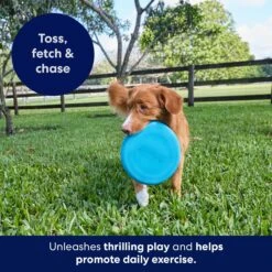 Frisco Fetch Rubber Flyer Dog Toy -Pet Dog Supplies Store 152848 PT5. AC SS1800 V1692370079