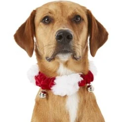 Frisco Jingle Bells Dog & Cat Holiday Collar With Bells, 1 Count -Pet Dog Supplies Store 160063 PT2. AC SS1800 V1669101088