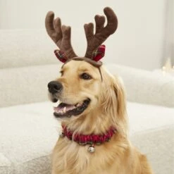 Frisco Holiday Antler Headband & Bell Collar Dog & Cat Costume -Pet Dog Supplies Store 160658 PT4. AC SS1800 V1568818037
