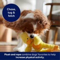 Frisco Duck Plush With Inside Rope Squeaky Dog Toy -Pet Dog Supplies Store 174723 PT4. AC SS1800 V1695671059