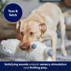 Frisco Llama Bobberz Plush Squeaky Dog Toy 10 Frisco Llama Bobberz Plush Squeaky Dog Toy -Pet Dog Supplies Store 174741 PT4. AC SS1800 V1695671063