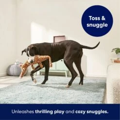 Frisco Giraffe Wagazoo Plush Squeaky Dog Toy -Pet Dog Supplies Store 174745 PT4. AC SS1800 V1695748354