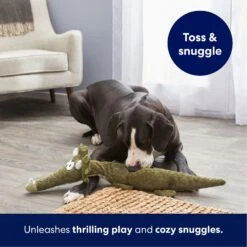 Frisco Triceratops Wagazoo Plush Squeaky Dog Toy -Pet Dog Supplies Store 174747 PT4. AC SS1800 V1695748419