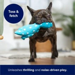 Frisco Dinosaur Latex Squeaky Dog Toy -Pet Dog Supplies Store 174770 PT3. AC SS1800 V1686579138