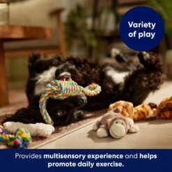 Frisco Jungle Pals Plush & Rope Variety Pack Dog Toy -Pet Dog Supplies Store 177819 PT5. AC SS1800 V1691784249