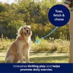 Frisco Ball Launcher & Fetch Squeaky Tennis Ball Dog Toy -Pet Dog Supplies Store 178477 PT3. AC SS1800 V1695241970