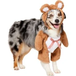Frisco Front Walking Teddy Bear Dog & Cat Costume 11 Frisco Front Walking Teddy Bear Dog & Cat Costume -Pet Dog Supplies Store 215507 PT3. AC SS1800 V1624402415