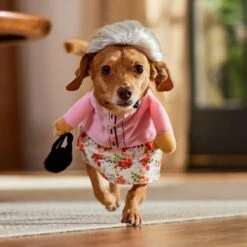 Frisco Front Walking Granny Dog & Cat Costume -Pet Dog Supplies Store 215577 PT8. AC SS1800 V1689621333