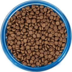 Frisco Chevron Design Glass Bowl With Silicone Sleeve -Pet Dog Supplies Store 216049 PT4. AC SS1800 V1591020735