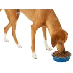 Frisco Chevron Design Glass Bowl With Silicone Sleeve -Pet Dog Supplies Store 216049 PT6. AC SS1800 V1605654757