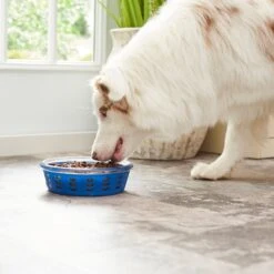 Frisco Chevron Design Glass Bowl With Silicone Sleeve -Pet Dog Supplies Store 216049 PT7. AC SS1800 V1605664319