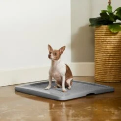 Frisco Training Pad Holder -Pet Dog Supplies Store 227474 PT6. AC SS1800 V1604701643