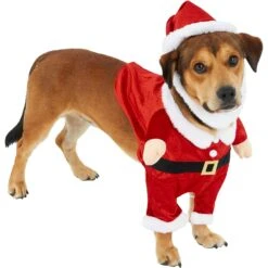 Frisco Front Walking Santa Dog & Cat Costume, 1 Count -Pet Dog Supplies Store 228785 PT3. AC SS1800 V1631300866