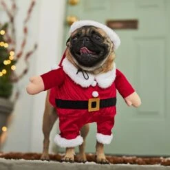 Frisco Front Walking Santa Dog & Cat Costume, 1 Count -Pet Dog Supplies Store 228785 PT7. AC SS1800 V1601560869