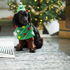 Frisco Front Walking Christmas Tree Dog & Cat Costume -Pet Dog Supplies Store 229164 PT7. AC SS1800 V1601385981