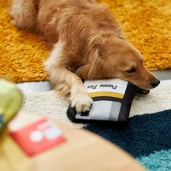 Frisco Retro Floppy Disc Ballistic Nylon Plush Squeaky Dog Toy 5 Frisco Retro Floppy Disc Ballistic Nylon Plush Squeaky Dog Toy -Pet Dog Supplies Store 230304 PT3. AC SS1800 V1602639753