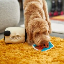 Frisco Retro Camera 2-in-1 Rip For Surprise Plush Squeaky Dog Toy -Pet Dog Supplies Store 230306 PT3. AC SS1800 V1602639779