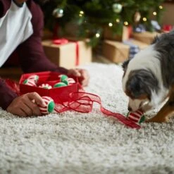 Frisco Holiday Wreath Fetch Squeaky Tennis Ball Dog Toy -Pet Dog Supplies Store 233189 PT5. AC SS1800 V1601919657