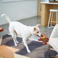 Frisco Holiday Gingerbread Man Flat Plush Squeaky Dog Toy -Pet Dog Supplies Store 233241 PT2. AC SS1800 V1601311903