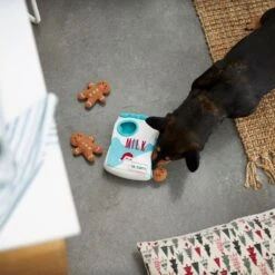 Frisco Holiday Milk & Gingerbread Cookies Hide & Seek Puzzle Plush Squeaky Dog Toy -Pet Dog Supplies Store 233262 PT5. AC SS1800 V1665759769