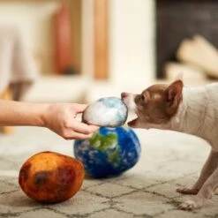 Frisco Earth, Mars, And Moon Plush Squeaky Dog Toy -Pet Dog Supplies Store 233587 PT3. AC SS1800 V1600973771