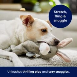 Frisco Bunny Bungee Plush Squeaky Dog Toy -Pet Dog Supplies Store 233612 PT5. AC SS1800 V1691783971