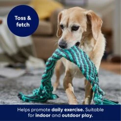 Frisco Flat Teal & Gray Braided Rope Squeaky Fetch Dog Toy -Pet Dog Supplies Store 242127 PT3. AC SS1800 V1695242179