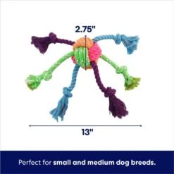 Frisco Fetch Colorful Ball Knot Rope Dog Toy -Pet Dog Supplies Store 242159 PT1. AC SS1800 V1695748416