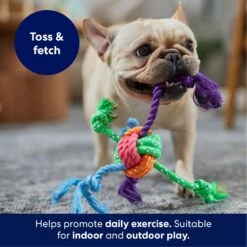 Frisco Fetch Colorful Ball Knot Rope Dog Toy -Pet Dog Supplies Store 242159 PT3. AC SS1800 V1695242179