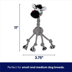 Pet Dog Supplies Store -Pet Dog Supplies Store 242163 PT1. AC SS1800 V1695084258