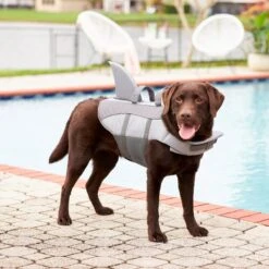 Frisco Shark Dog Life Jacket 16 Frisco Shark Dog Life Jacket -Pet Dog Supplies Store 247887 PT7. AC SS1800 V1616505777