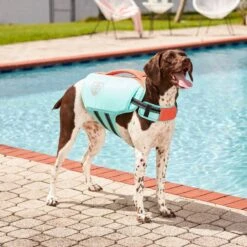 Frisco Active Dog Life Jacket -Pet Dog Supplies Store 247894 PT7. AC SS1800 V1616506092