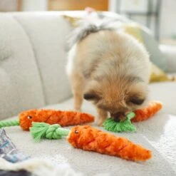 Frisco Easter Carrot Plush With Rope Dog Toy -Pet Dog Supplies Store 248023 PT5. AC SS1800 V1608769360