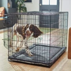 Frisco Self Warming Dog Crate Mat 11 Frisco Self Warming Dog Crate Mat -Pet Dog Supplies Store 255337 PT5. AC SS1800 V1616102293
