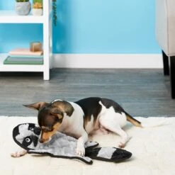 Frisco Alligator Stuffing-Free Flat Plush Squeaky Dog Toy & Frisco Raccoon Stuffing-Free Flat Plush Squeaky Dog Toy -Pet Dog Supplies Store 255471 PT4. AC SS1800 V1602691287