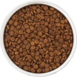 Frisco Insulated Two-Toned Non-Skid Stainless Steel Dog & Cat Bowl -Pet Dog Supplies Store 257168 PT4. AC SS1800 V1612367255