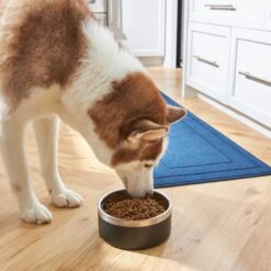 Frisco Insulated Two-Toned Non-Skid Stainless Steel Dog & Cat Bowl -Pet Dog Supplies Store 257168 PT8. AC SS1800 V1615840126