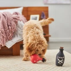 Frisco Magic Potions Latex Squeaky Dog Toy, 2 Count 5 Frisco Magic Potions Latex Squeaky Dog Toy, 2 Count -Pet Dog Supplies Store 265632 PT3. AC SS1800 V1620939021