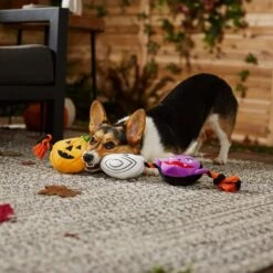 Frisco Halloween Haunted Friends Plush With Rope Squeaky Dog Toy -Pet Dog Supplies Store 270500 PT3. AC SS1800 V1624825043